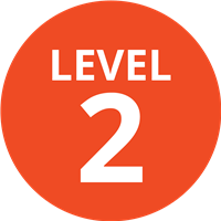 Teen Level 2 Badge